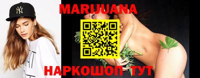 крисы Абакан