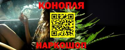 крисы Абакан