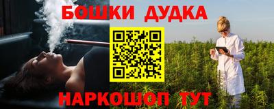 крисы Абакан