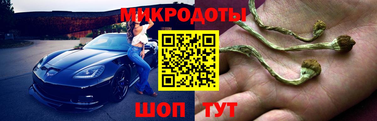 Псилоцибиновые грибы Magic Shrooms  Вход с VPN  Абинск 